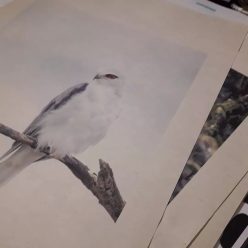 Tirage d'art sur papier Japonais artisanal écologique
