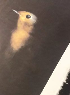 Photo imprimée sur papier Japonais artisanal