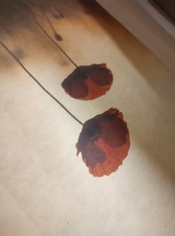 tirage sur papier écoresponsable