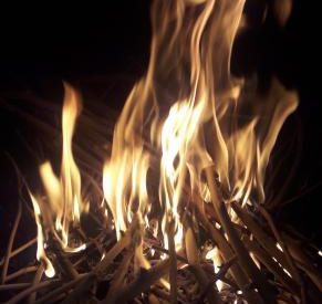 feu de bois pour la cuisson du kozo