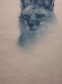 cyanotype sur papier Japonais