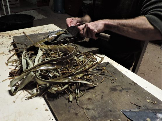 Grattage des écorces de mûrier à papier à l'aide d' un couteau