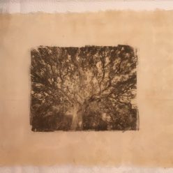 palladium sur papier Japonais