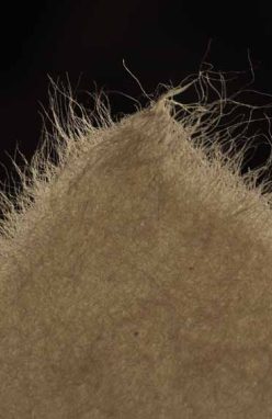 Photo papier japonais et fibres