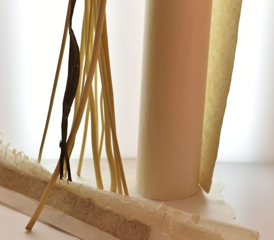 papier japonais et écorce de kozo (murierà papier).