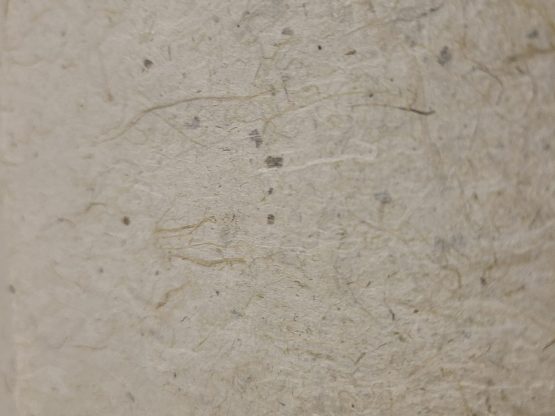 Papier paille de riz de Camargue